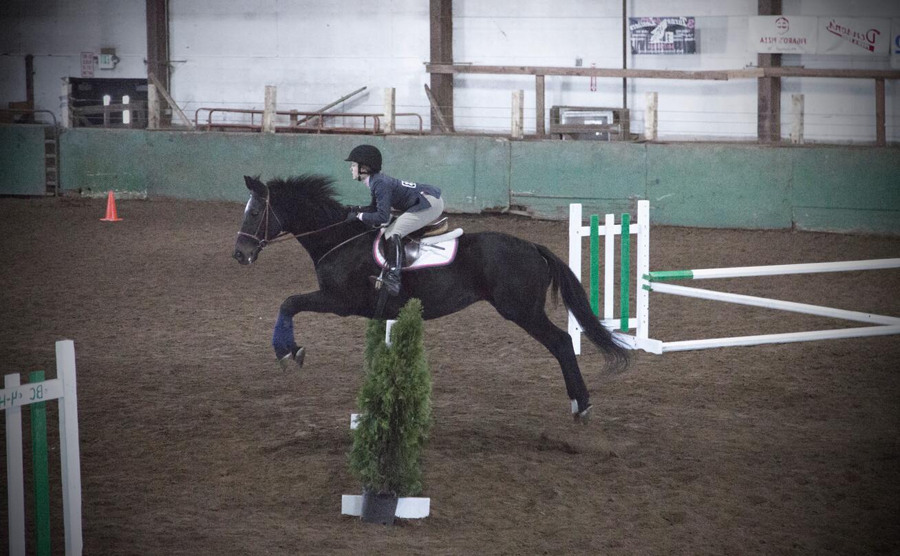 photo of horse and rider taking a jump